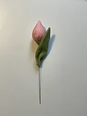 Tulipan okrasni - 1 kos