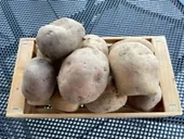 Domač mešan krompir 1 kg